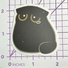 Emo Black Cat Sadly Sitting-