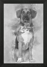 Dog cross breed with a bea