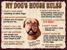 Dogue De Bordeaux My Dog's