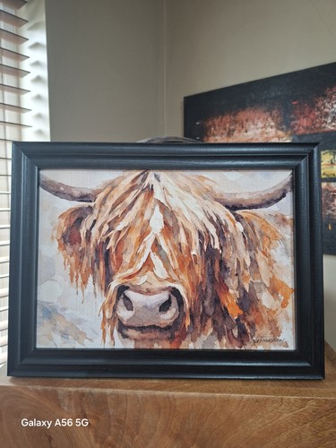 Highland cow framed - highland, a4
