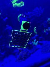 Aquarium Magnetic NORI Seaweed Feeder  Upto 19mm Glass 