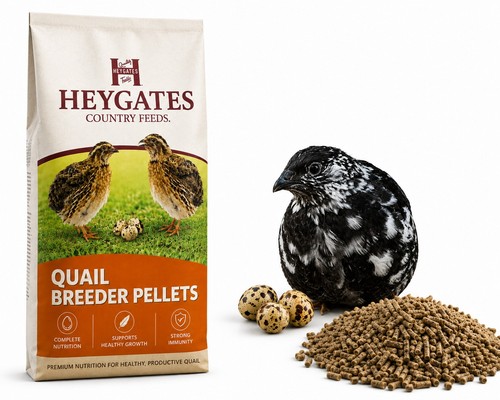 Heygates quail breeder - breeder, pellets