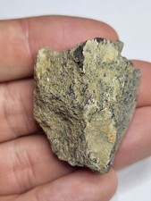 Sauropod Fossil From Guettioua. Possible Femur/Vertebra Dinosaur Bone (Ref4013)