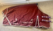 5’6 Gallop Trojan Xtra