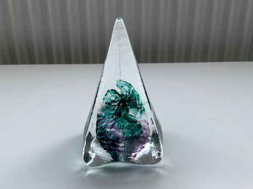 Caithness glass paperweights - paperweights,