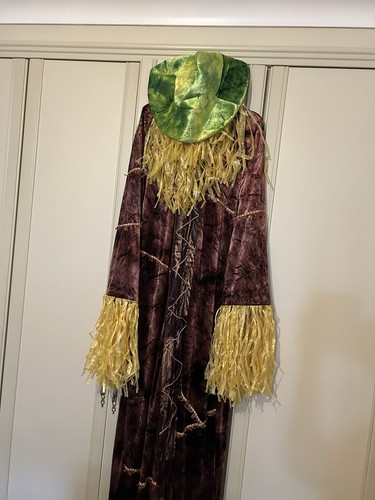 Scarecrow adult dressing - scarecrow,