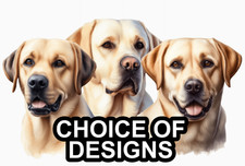 Labrador Retriever Self