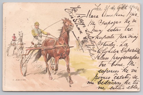 Harness racing trotting horse - harness,