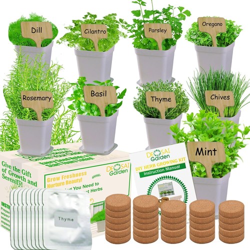 Herb indoor window garden - indoor,