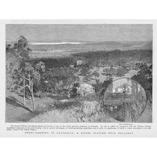 AUSTRALIA A Model Sheep Farm near Ballarat - Antique Print 1892