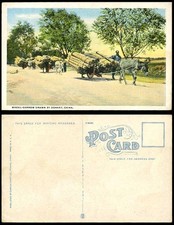 China Old Colour Postcard Chinese Wheel-Barrow Drawn by Donkey Wheelbarrow Pekin