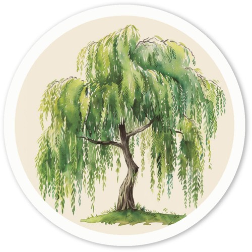 Weeping willow tree decal - 'weeping,