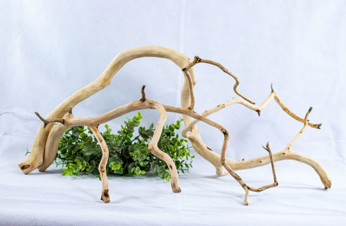 Driftwood manzanita branch set - manzanita,