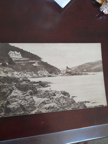 Salcombe harbour the - salcombe,