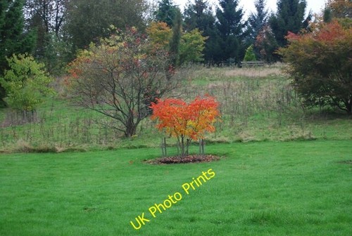 Photo 6x4 autumn colour - photo,