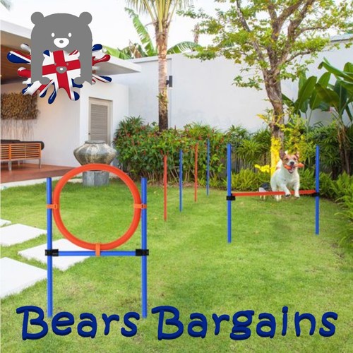 Dog agility set - set, training