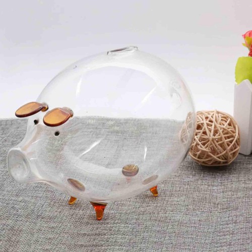 Crystal clear piggy bank - crystal,