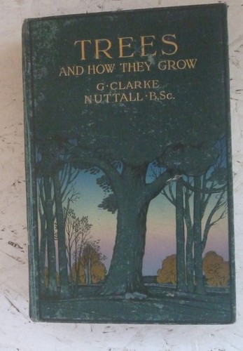 Antique book 1913 - 1913, trees
