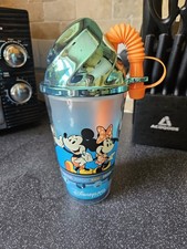 Disneyland Paris reusable