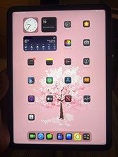 Apple iPad Air 4th Gen 256GB