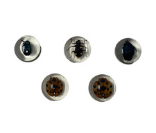Real Insects in Resin - 5 Pcs