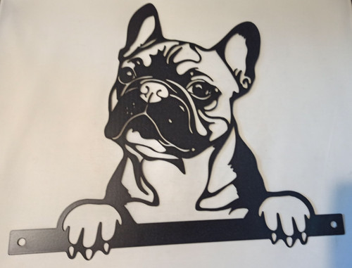 Peeking frenchie dog fence - frenchie,