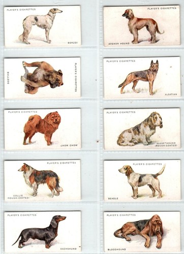 Players dogs 1931 - (full, body)