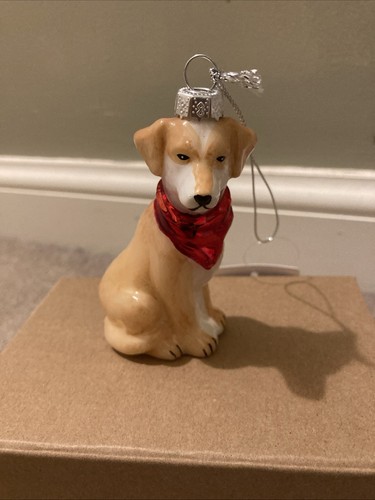 Labrador dog glass - labrador,