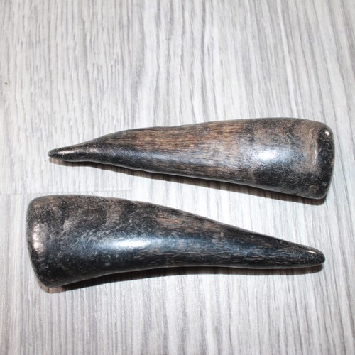 Small polished goat horns - 2,