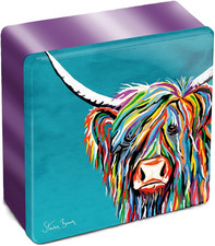 Steven Brown Rainbow Rab Mccoo
