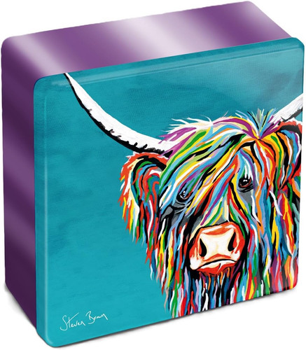 Steven brown rainbow rab mccoo - steven,