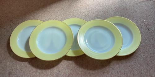 Jaj pyrex dinner plates - 5,