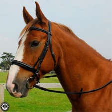 Comfort Bridle With Cavesson Noseband by Heritage Saddlery  English Leather