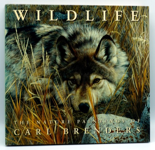 Wildlife the nature - wildlife,