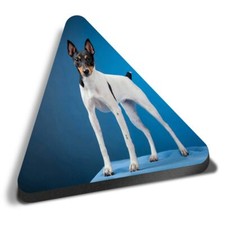 Triangle MDF Magnets - Toy Fox