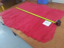 Coral Pink Red Garment Whole
