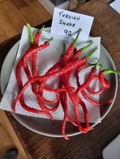 TURKISH SNAKE CHILLI SEEDS X 12