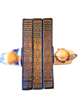 True annals fairyland rare - true,