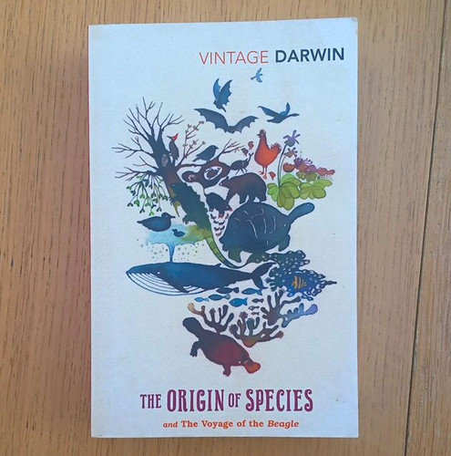 Vintage classics origin - vintage,