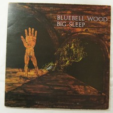 BIG SLEEP ‎– BLUEBELL