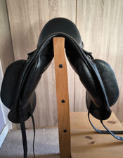 16.5 inch medium wide winners