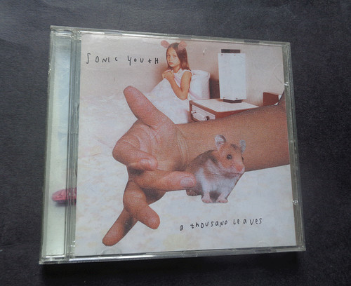 Sonic youth a thousand - a,