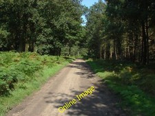 Photo 6x4 woodland ride - 6x4,