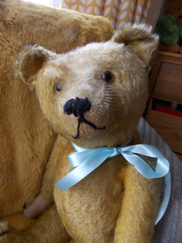 Antique german teddy bear - bear, by