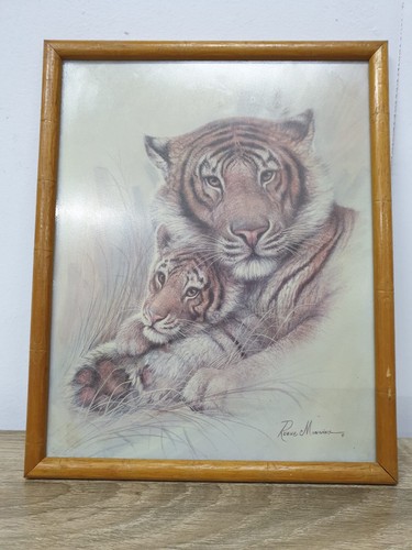Ruane manning tiger - ruane, cub