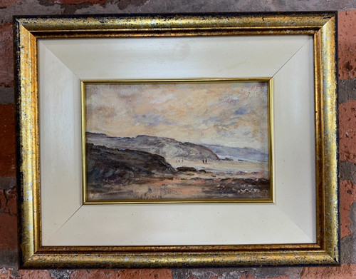 Original vintage steve slimm - original,