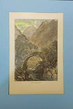  handcoloured woodcut