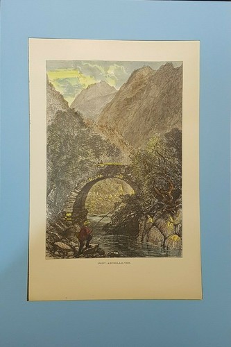 Handcoloured woodcut - ,