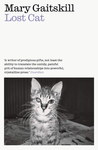 Lost cat memoir - cat,