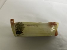 Vintage Crested China Lucky